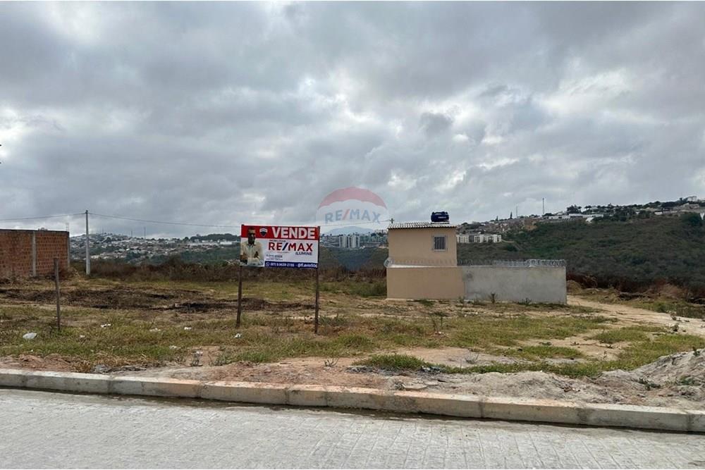 Terreno - Venda - Garanhuns , Pernambuco - WhatsApp Image 2025-01-08 at 17.00.51 (12).jpeg - 850131003-371