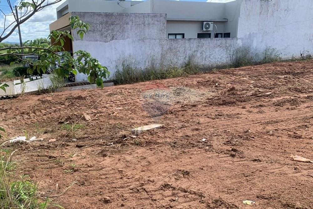 Terreno - Venda - Palmeira dos Índios , Alagoas - ee962e50-ab22-43b1-85b5-f09aed00dde0 (1).jpg - 850271243-2