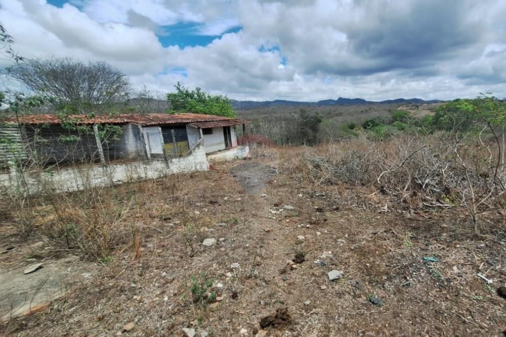 Chácara / Sítio / Fazenda - Venda - Caruaru , Pernambuco - WhatsApp Image 2026-03-02 at 14.27.31 (1).jpeg - 850161060-46