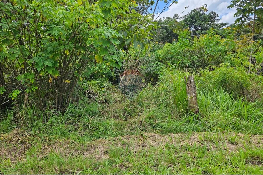 Terreno - Venda - Paudalho , Pernambuco - WhatsApp Image 2025-09-04 at 14.10.58 (2).jpeg - 850471016-73