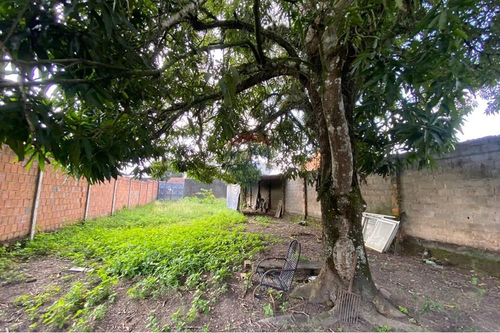 Terreno - Venda - Maceió , Alagoas - WhatsApp Image 2025-09-23 at 19.04.56 (2).jpeg - 850271154-83