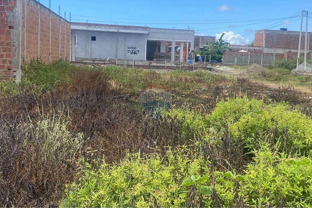 Terreno - Venda - Ipojuca , Pernambuco - WhatsApp Image 2026-02-17 at 12.37.52 (2).jpeg - 850221030-41