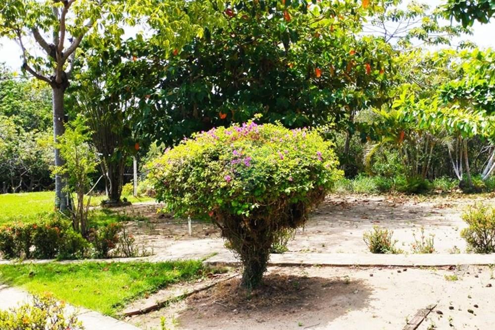 Chácara / Sítio / Fazenda - Alugar - Igarassu , Pernambuco - WhatsApp Image 2025-01-23 at 15.12.05.jpeg - 850071019-200