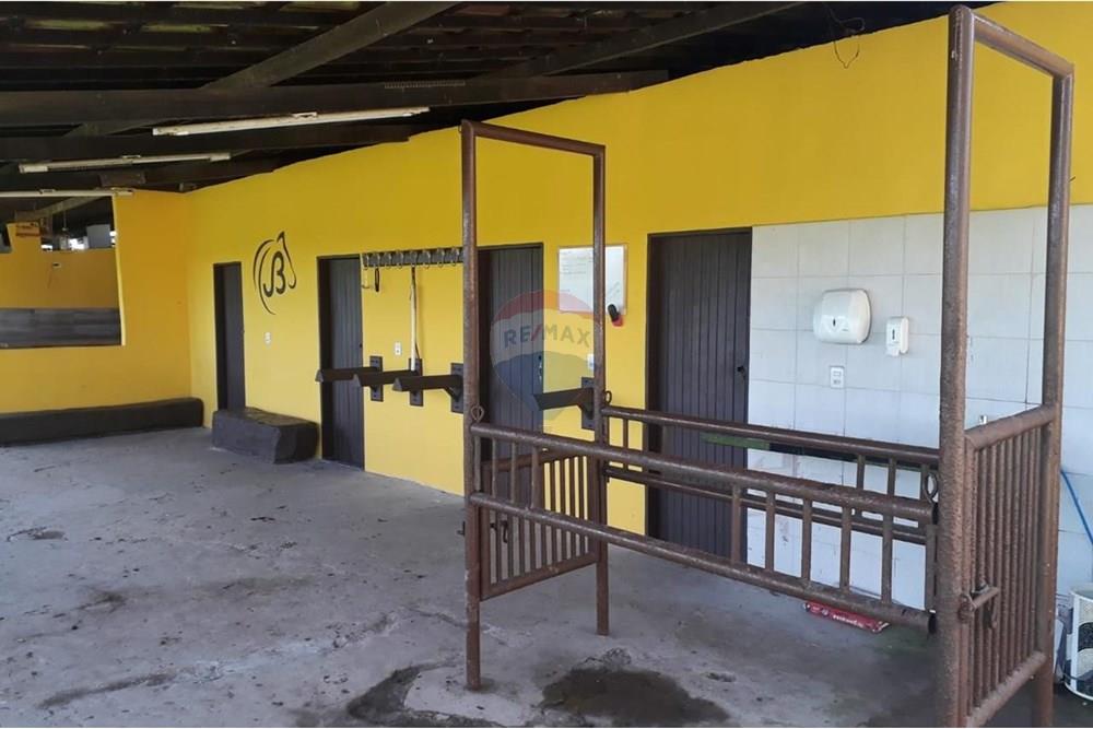 Chácara / Sítio / Fazenda - Venda - Camaragibe , Pernambuco - 54730c23-f5e8-436e-ac96-fad4488a073c.jpg - 850251079-75