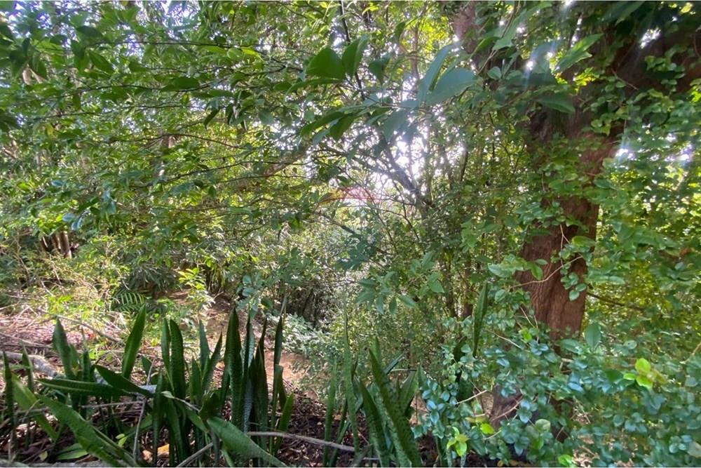 Apartamento - Alugar - Maceió , Alagoas - WhatsApp Image 2026-03-11 at 15.23.12 (1).jpeg - 850271152-78