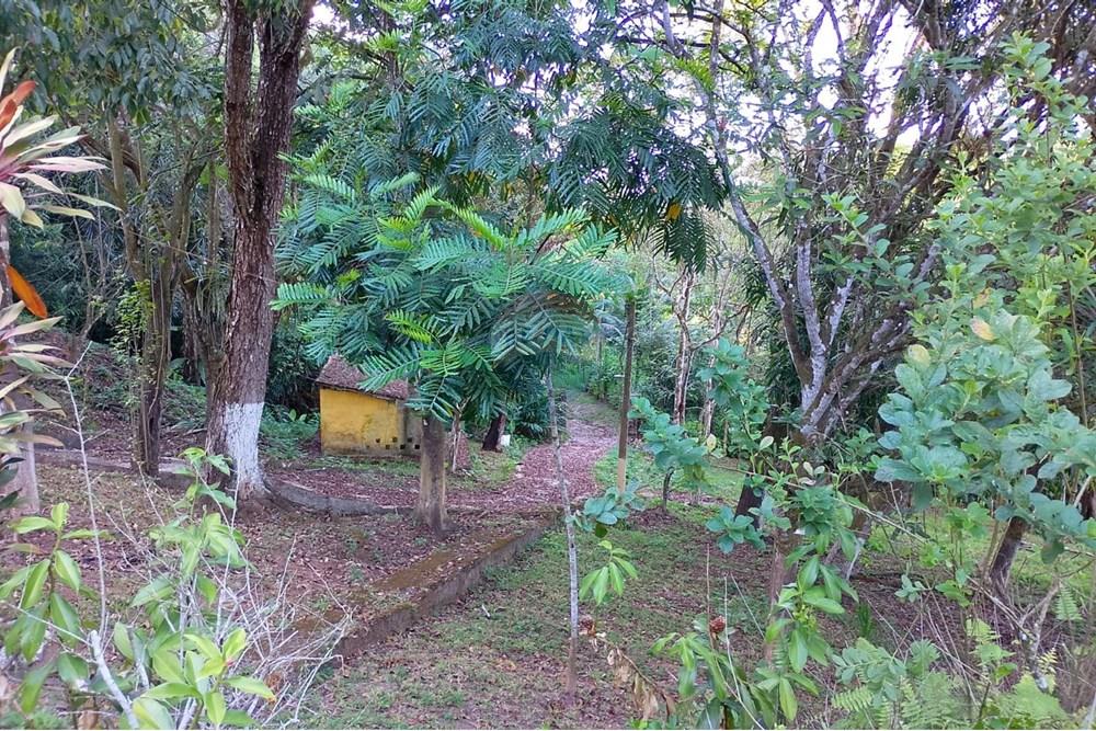 Casa - Alugar - São Lourenço da Mata , Pernambuco - 10.jpg - 850471015-127