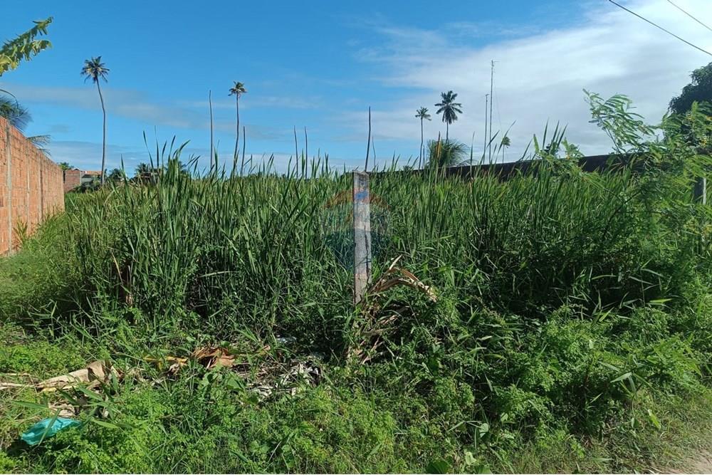 Terreno - Venda - Maceió , Alagoas - TERRENO NICAULA 6.jpg - 850141002-118