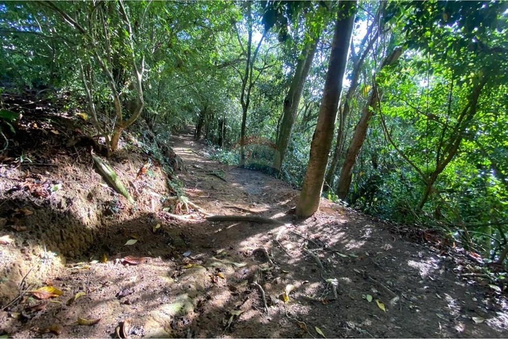 Apartamento - Alugar - Maceió , Alagoas - WhatsApp Image 2026-03-11 at 15.23.12 (4).jpeg - 850271152-78