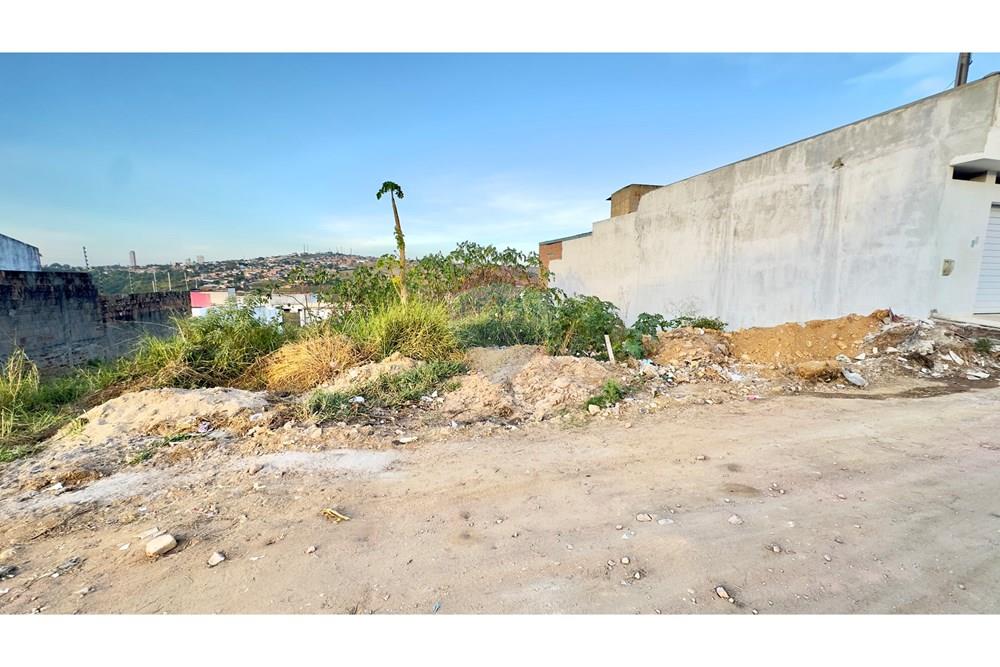 Terreno - Venda - Garanhuns , Pernambuco - IMG_2393.jpeg - 850741004-297