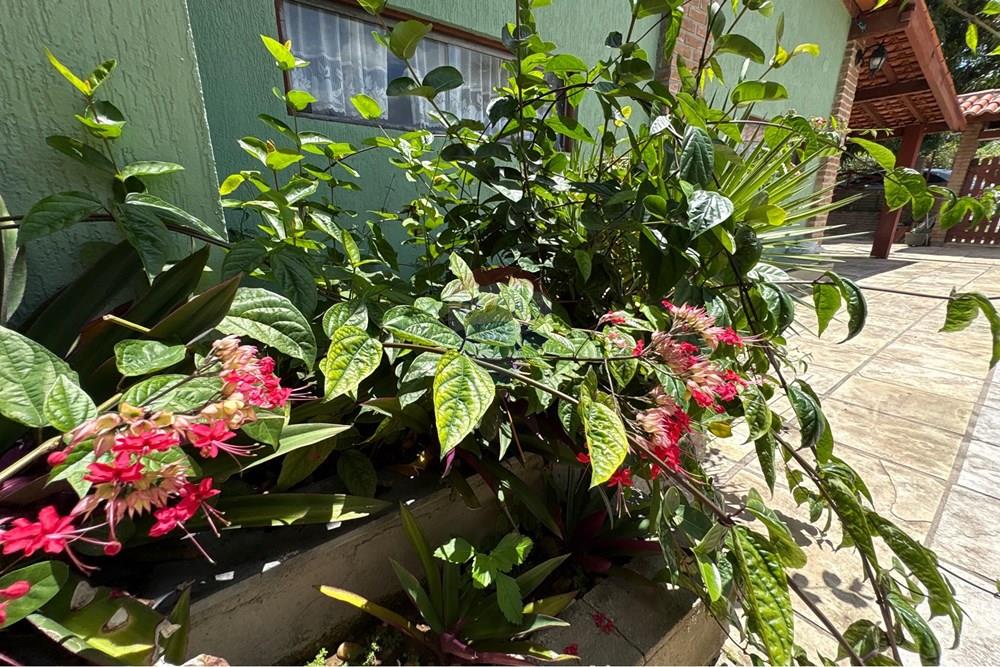 Casa de Condomínio - Venda - Camaragibe , Pernambuco - IMG_0186.jpeg - 850091088-37