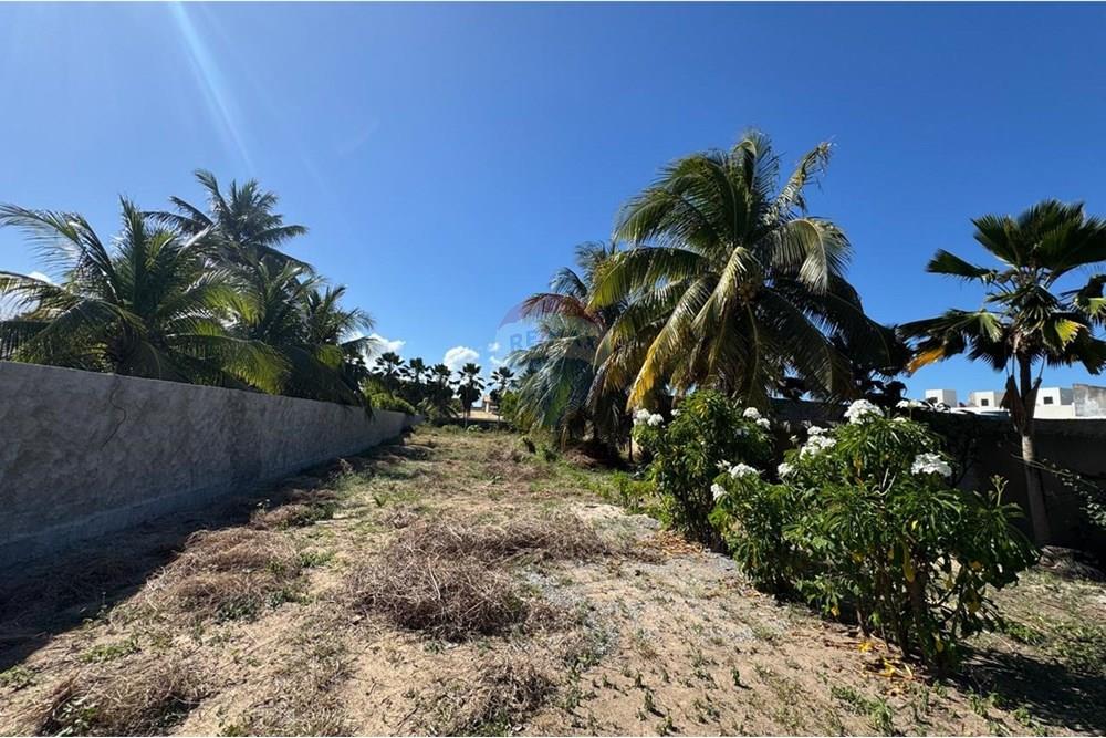 Terreno - Venda - Aracaju , Sergipe - WhatsApp Image 2025-11-14 at 09.35.54.jpeg - 850581276-9