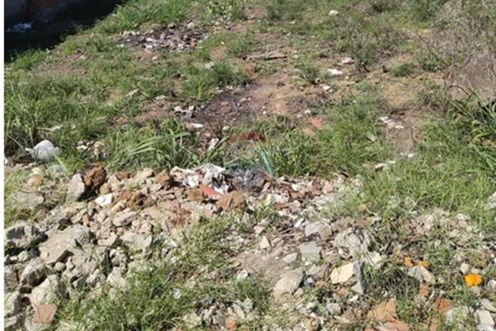 Terreno - Venda - Bonito , Pernambuco - Imagem do WhatsApp de 2025-02-18 à(s) 14.01.23_0c851577.jpg - 850051012-93