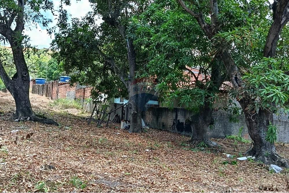 Terreno - Venda - Maceió , Alagoas - WhatsApp Image 2025-12-10 at 15.35.58 (2).jpeg - 850271159-435