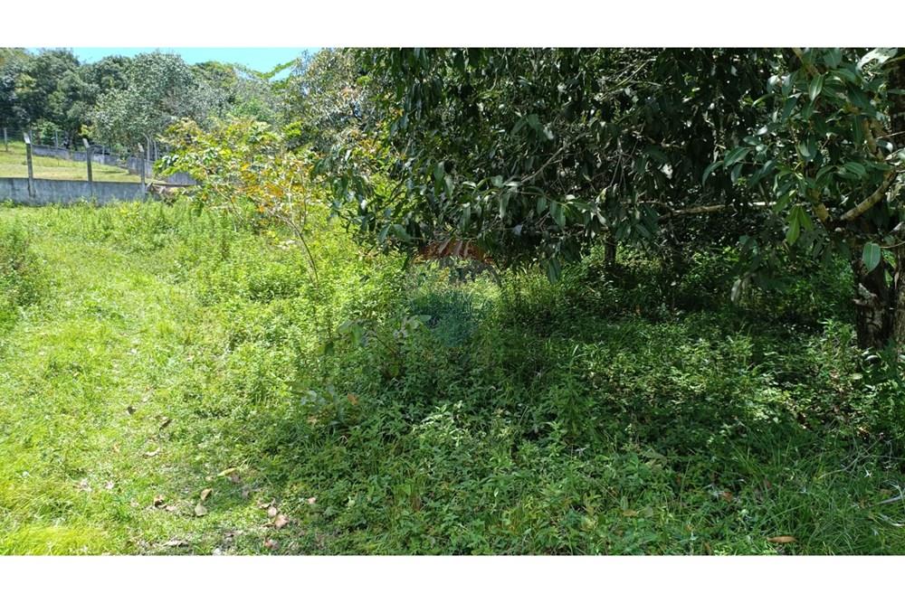 Terreno - Venda - Paulista , Pernambuco - WhatsApp Image 2025-10-11 at 10.28.34.jpeg - 850501060-494