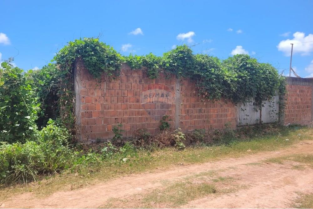 Terreno - Venda - Cabo de Santo Agostinho , Pernambuco - WhatsApp Image 2025-02-18 at 14.44.12.jpeg - 850281001-32