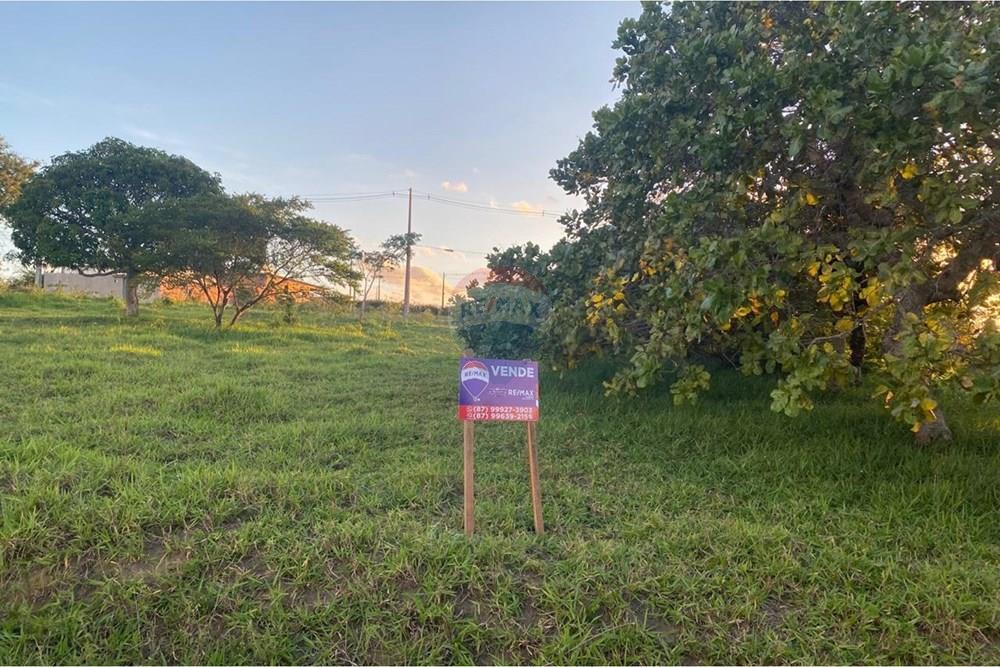 Terreno - Venda - Garanhuns , Pernambuco - WhatsApp Image 2026-03-27 at 15.40.55.jpeg - 850741009-1