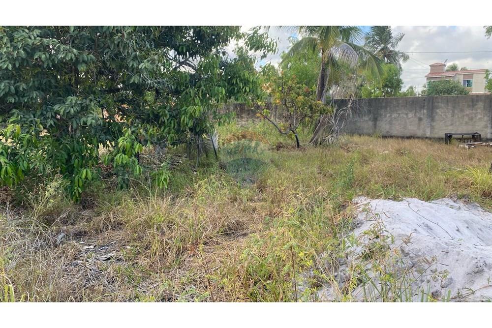 Terreno - Venda - Maragogi , Alagoas - IMG_3091.jpeg - 850271264-16