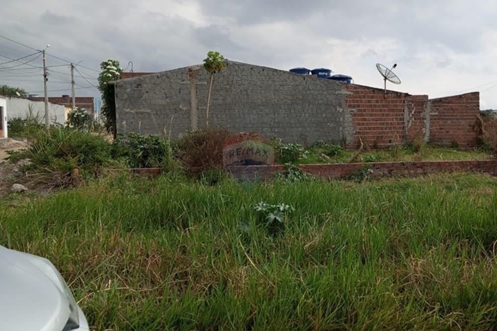 Terreno - Venda - Lajedo , Pernambuco - WhatsApp Image 2025-11-17 at 12.26.38 PM (2).jpeg - 850131012-49