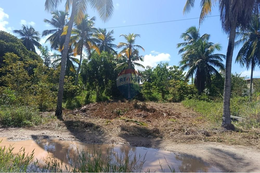 Terreno - Venda - Maragogi , Alagoas - IMG_20250531_123431.jpg - 850291008-73