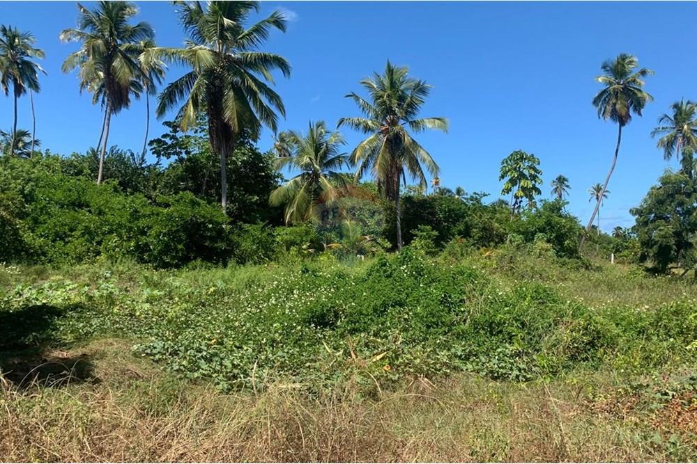 Terreno - Venda - Porto de Pedras , Alagoas - 14.jpg - 850271286-55