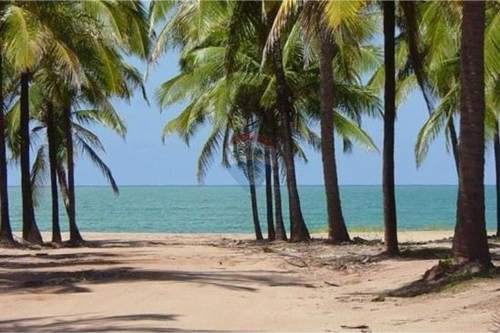 Terreno - Venda - Ipojuca , Pernambuco - 9b79f7d10e2dee2207306abdc40df69c.jpg - 850221031-275