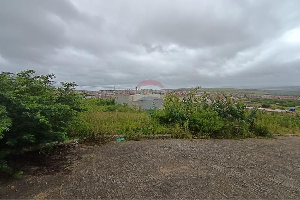 Terreno - Venda - Garanhuns , Pernambuco - WhatsApp Image 2025-10-14 at 10.45.37 (1).jpeg - 850741008-1