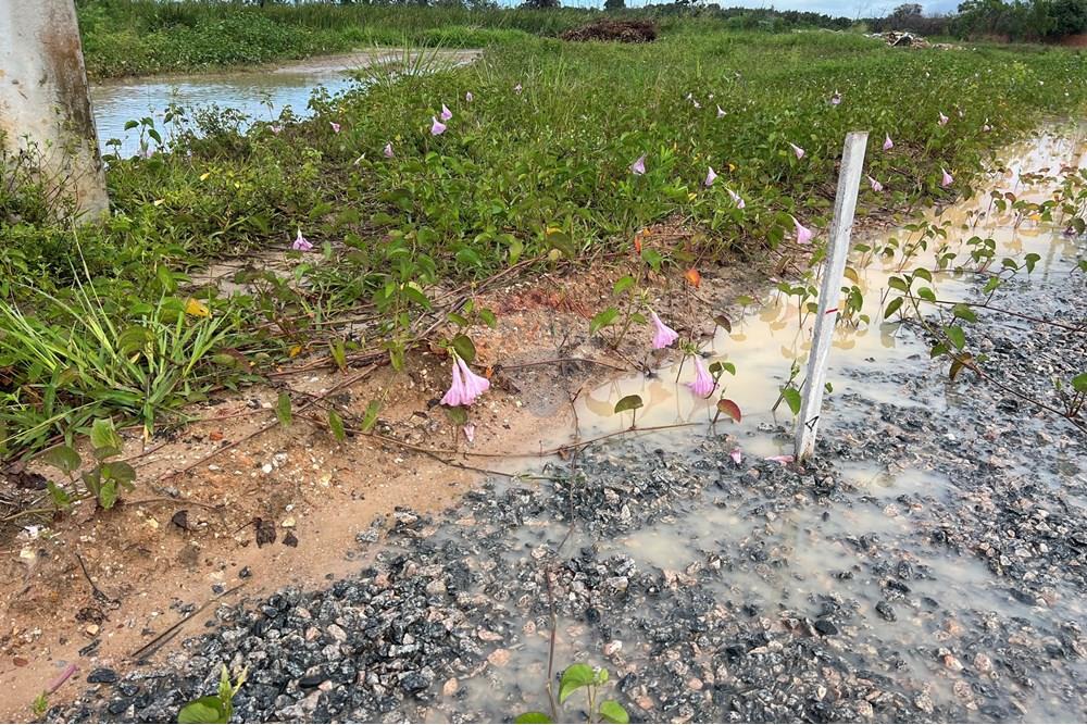 Terreno - Venda - Marechal Deodoro , Alagoas - IMG_3126.jpeg - 850271140-89