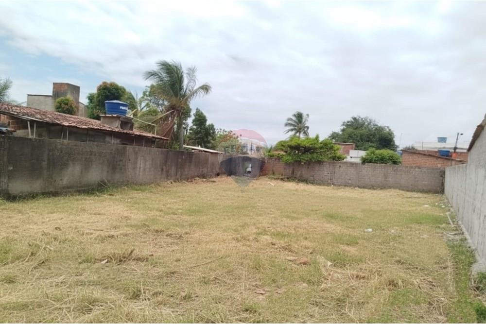 Terreno - Venda - Paulista , Pernambuco - WhatsApp Image 2025-09-29 at 13.56.46 (1).jpeg - 850721010-1