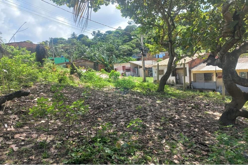 Terreno - Venda - Maceió , Alagoas - IMG-20250516-WA0003 - Copia.jpg - 850711016-38