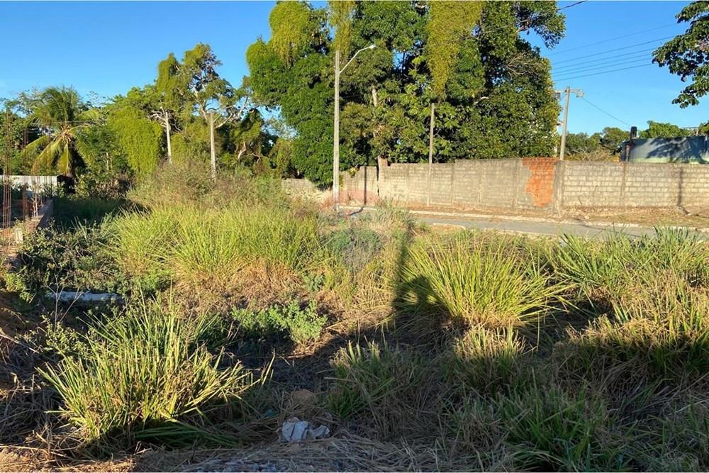 Terreno - Venda - Marechal Deodoro , Alagoas - IMG-20260204-WA0235.jpg - 850641022-88