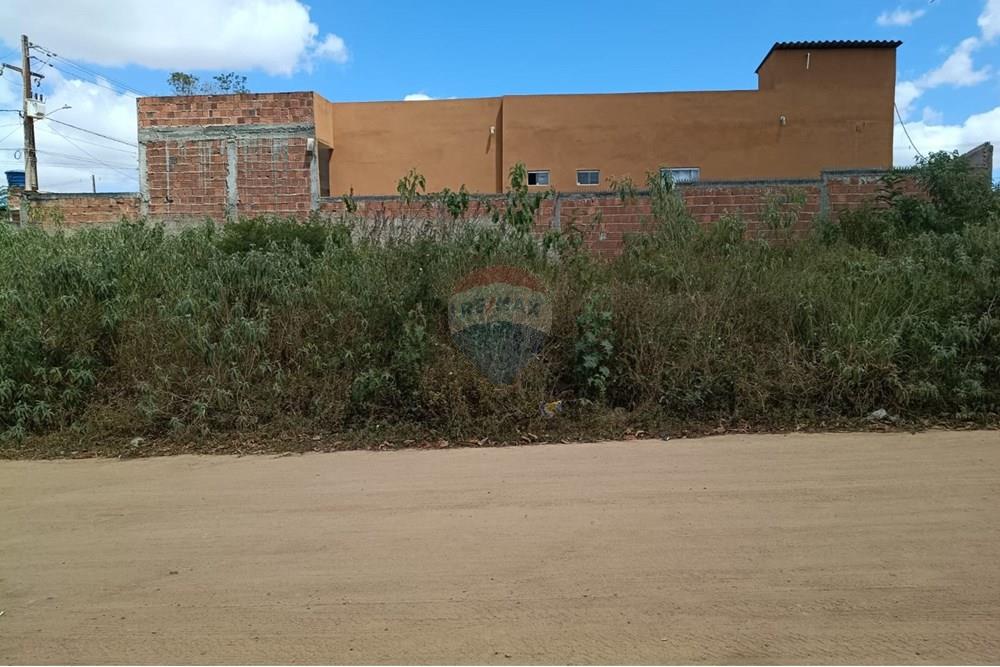 Terreno - Venda - Garanhuns , Pernambuco - WhatsApp Image 2025-11-14 at 12.55.38.jpeg - 850741002-1