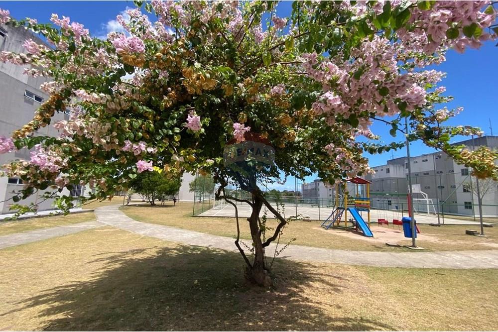 Apartamento - Venda - Maceió , Alagoas - WhatsApp Image 2025-12-03 at 3.28.54 PM (19).jpeg - 850271154-90