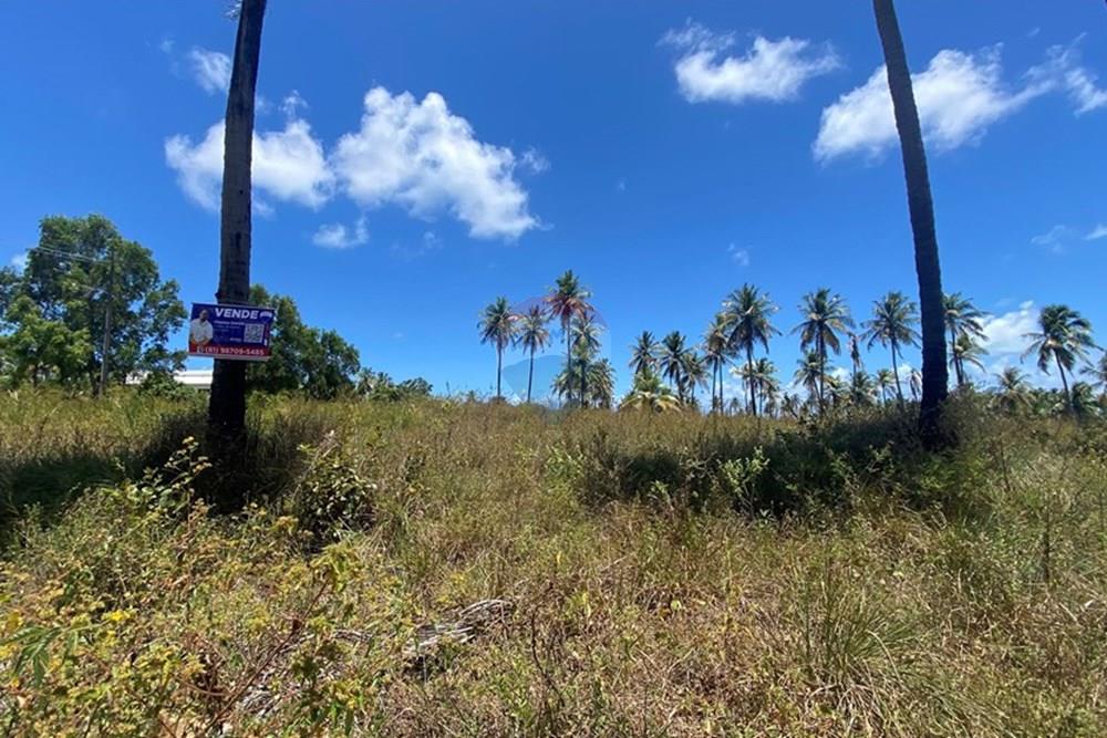 Terreno - Venda - Maragogi , Alagoas - IMG_1533.jpg - 850271264-8