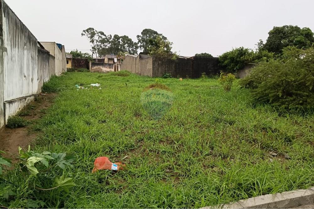 Terreno - Venda - Garanhuns , Pernambuco - WhatsApp Image 2026-03-11 at 11.09.35 (1).jpeg - 850741008-3