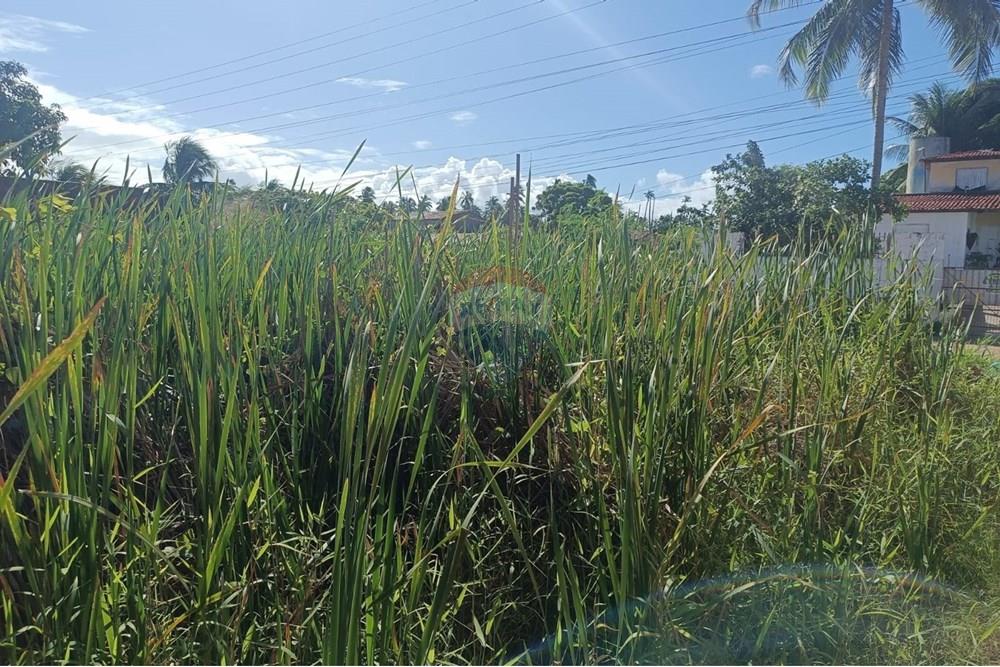 Terreno - Venda - Maceió , Alagoas - TERRENO NICAULA 7.jpg - 850141002-118