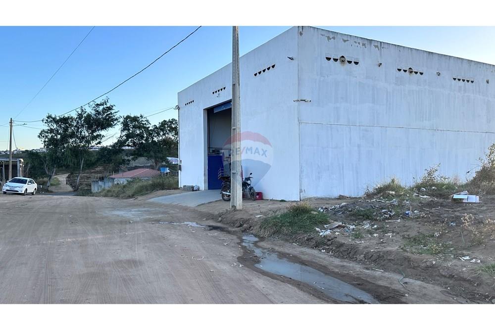 Terreno - Venda - Garanhuns , Pernambuco - IMG_2879.JPG - 850741006-7