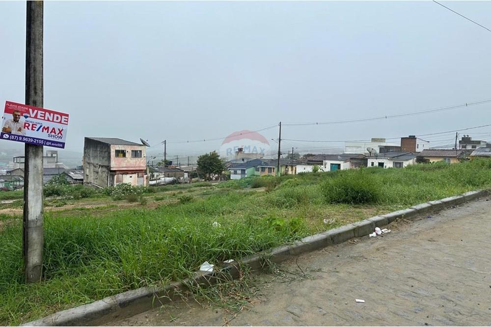 Terreno - Venda - Garanhuns , Pernambuco - WhatsApp Image 2025-07-29 at 20.29.18 (1).jpeg - 850131003-468
