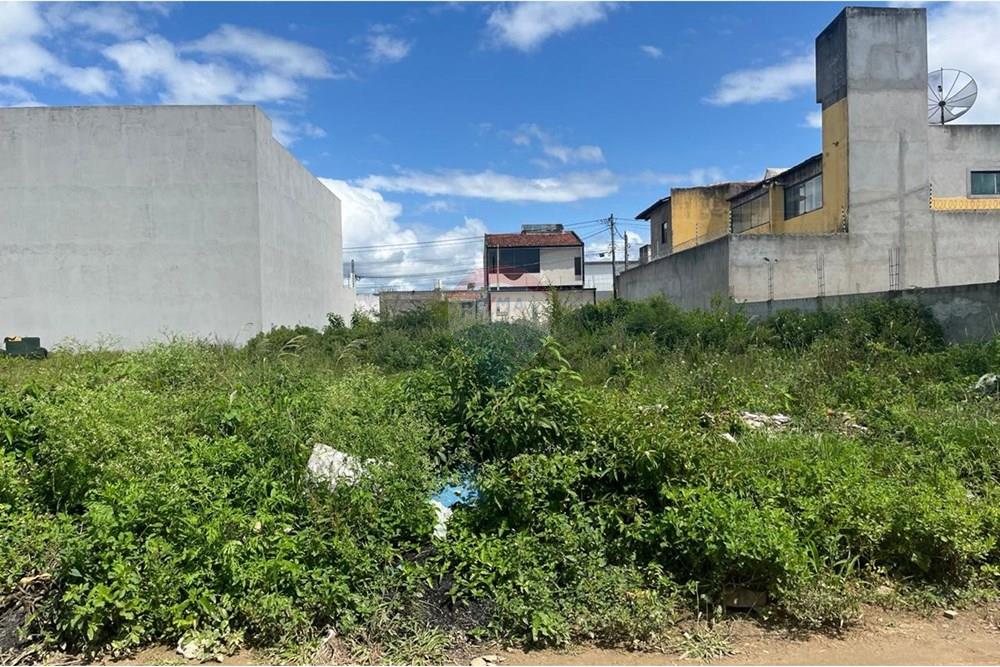 Terreno - Venda - Caruaru , Pernambuco - WhatsApp Image 2025-03-06 at 11.13.50.jpeg - 850161060-22