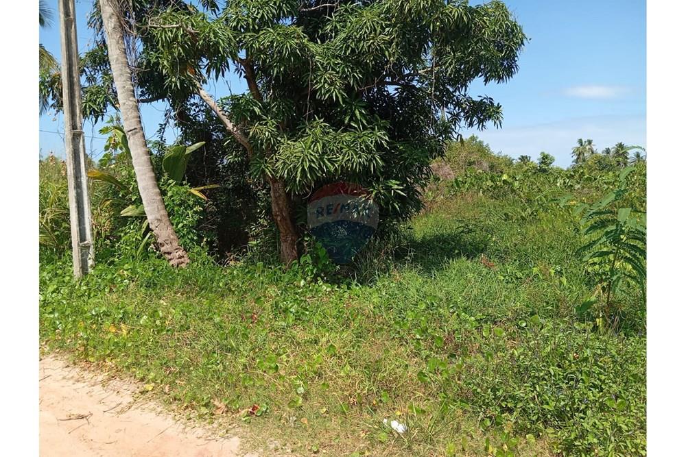 Terreno - Venda - São Miguel dos Milagres , Alagoas - WhatsApp Image 2025-10-17 at 21.01.56 (1).jpeg - 850271222-9