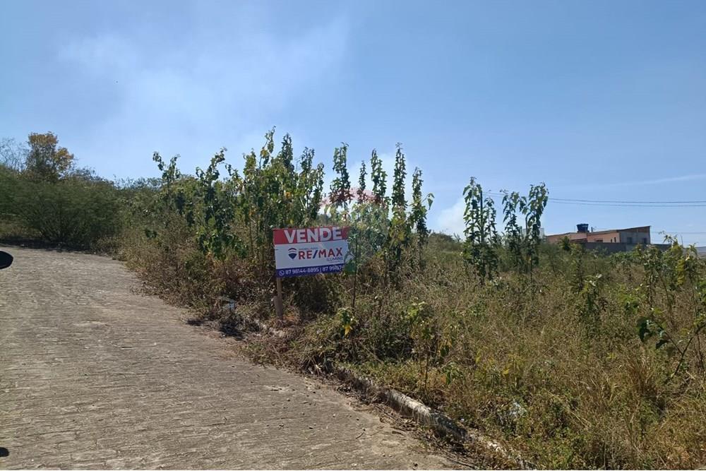 Terreno - Venda - Garanhuns , Pernambuco - WhatsApp Image 2025-11-13 at 20.46.08 (1).jpeg - 850741008-1
