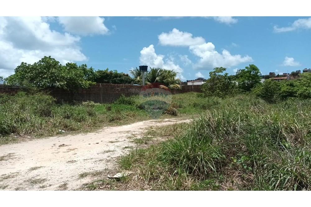 Terreno - Venda - Cabo de Santo Agostinho , Pernambuco - WhatsApp Image 2025-03-15 at 17.20.55 (1).jpeg - 850281025-39