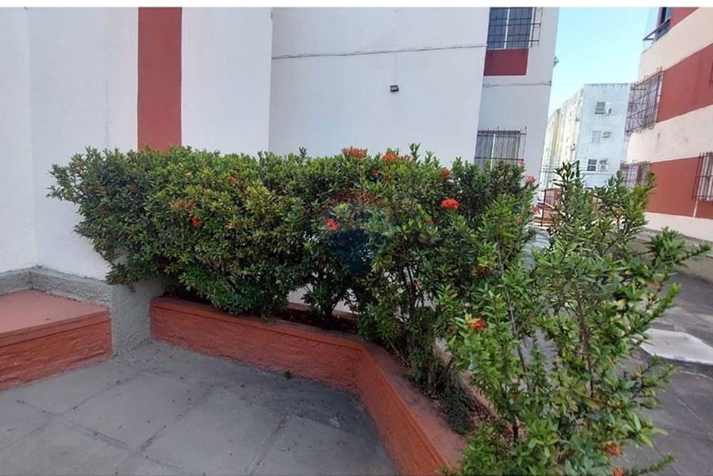 Apartamento - Venda - Jaboatão dos Guararapes , Pernambuco - WhatsApp Image 2025-12-29 at 12.04.01.jpeg - 850071027-49