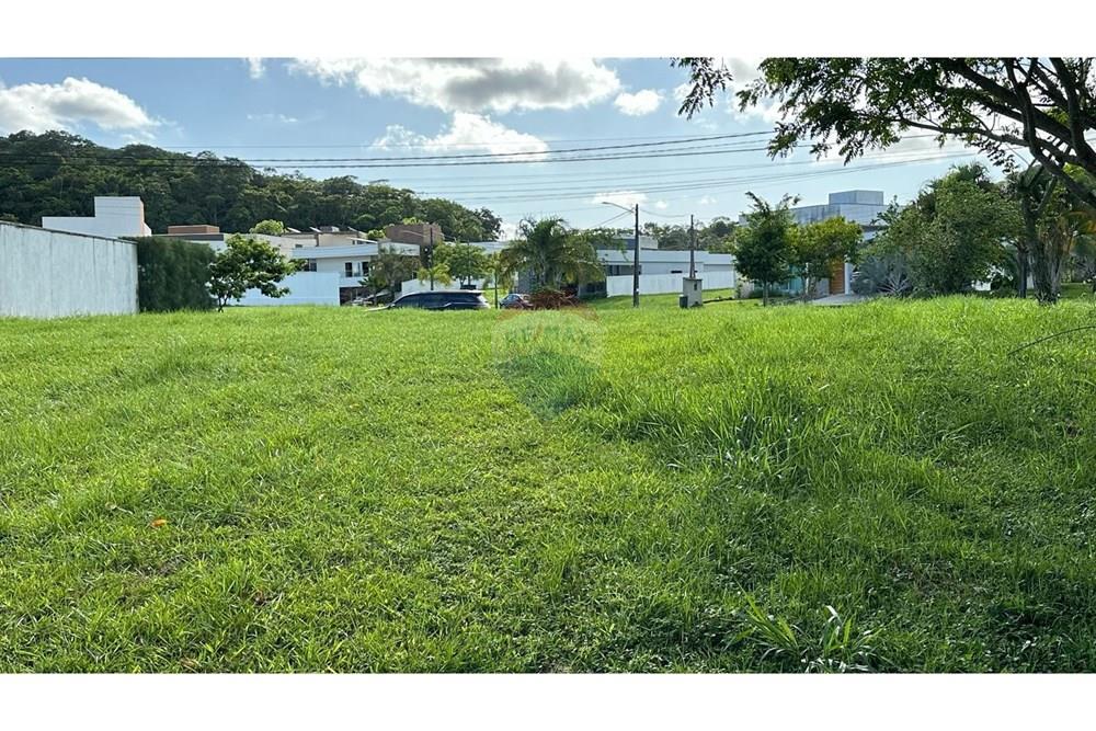 Terreno - Venda - Recife , Pernambuco - WhatsApp Image 2025-08-12 at 11.04.47.jpeg - 850091046-384