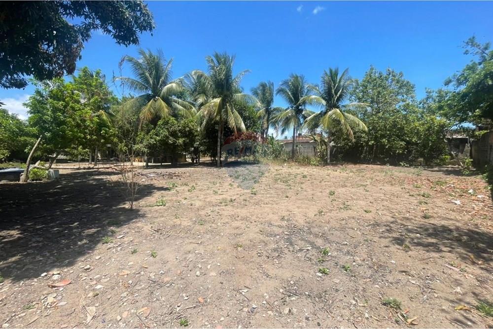 Terreno - Venda - Maceió , Alagoas - WhatsApp Image 2026-01-16 at 14.15.08 (1).jpeg - 850271272-1