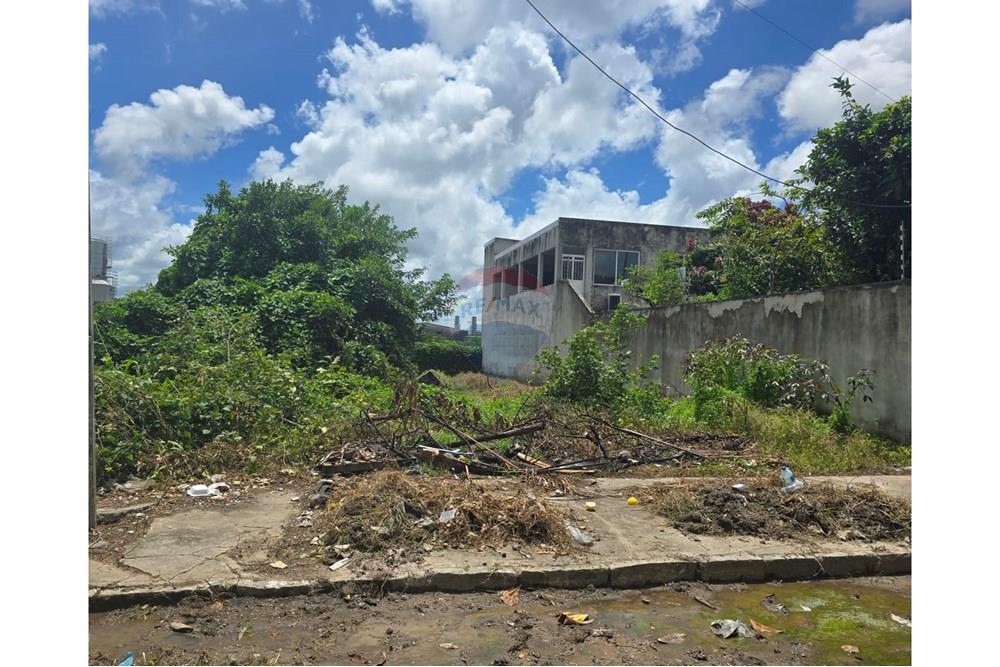 Terreno - Venda - Cabo de Santo Agostinho , Pernambuco - WhatsApp Image 2025-04-04 at 16.34.25.jpeg - 850281036-80