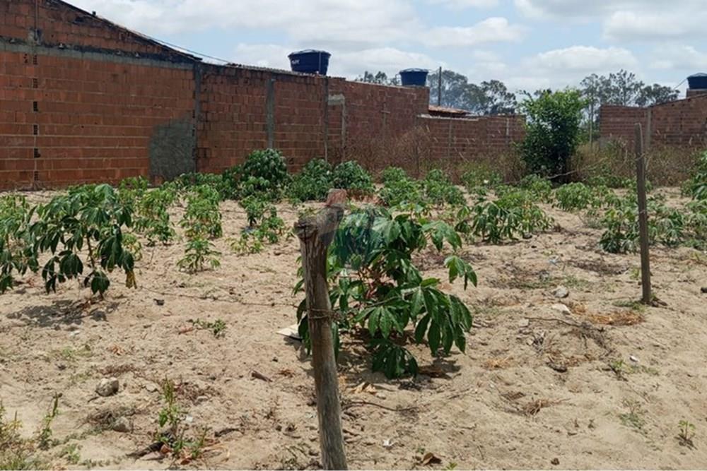 Terreno - Venda - Lajedo , Pernambuco - WhatsApp Image 2025-11-23 at 12.54.15 PM (2).jpeg - 850131012-48