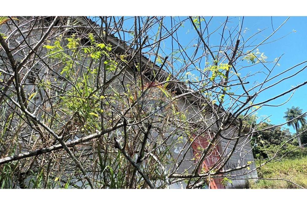 Kommersiell - Lager - Cabo de Santo Agostinho , Pernambuco - BR - WhatsApp Image 2024-11-05 at 15.13.32 (2).jpeg - 850281025-47