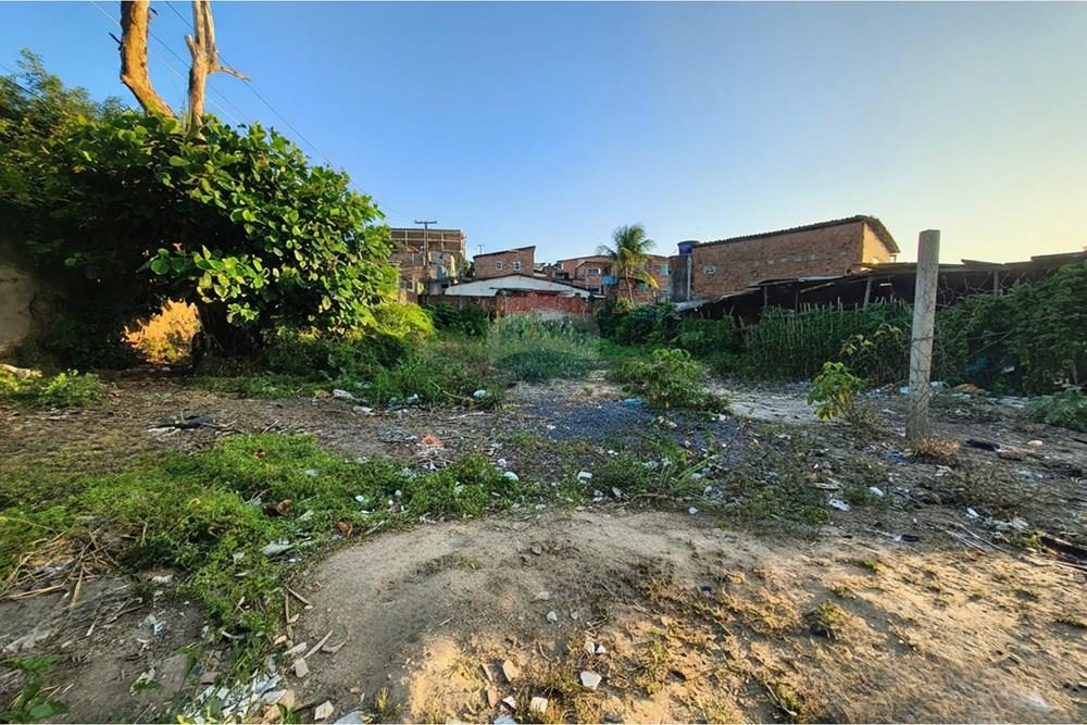 Terreno - Venda - Recife , Pernambuco - Generated Image February 22, 2026 - 12_28PM_cleanup.jpg - 850191023-68