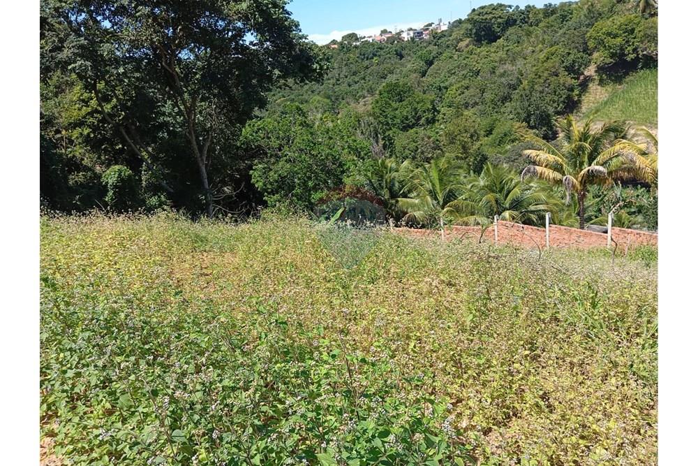 Terreno - Venda - Maceió , Alagoas - WhatsApp Image 2025-08-21 at 10.32.09.jpeg - 850271222-3