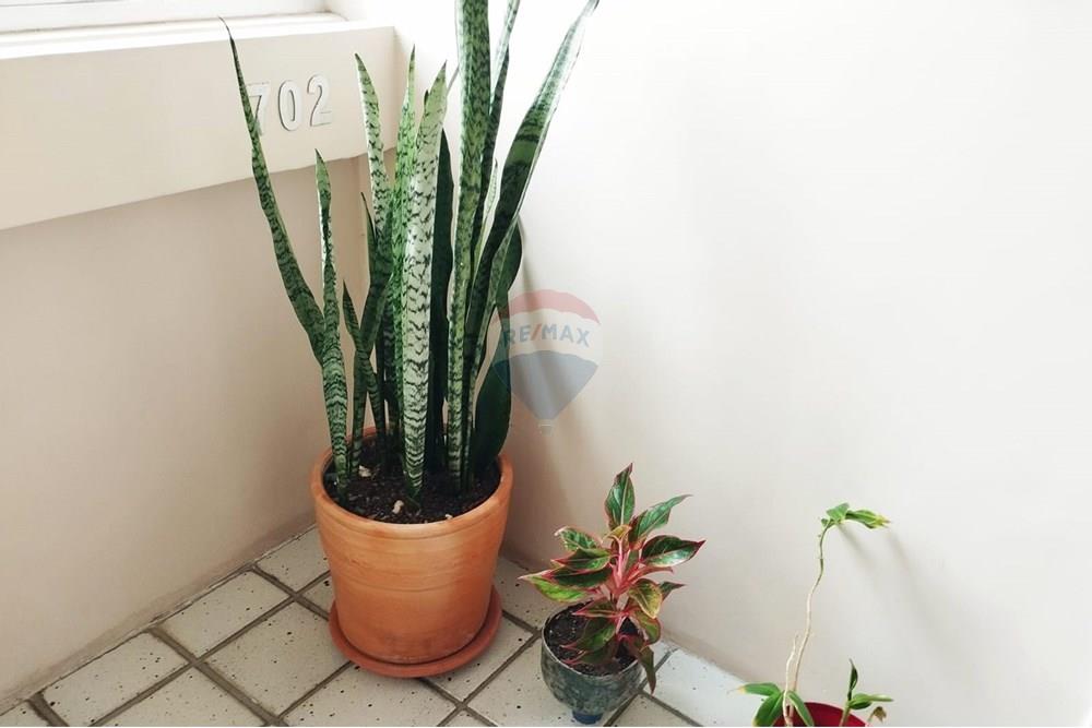 Apartamento - Venda - Recife , Pernambuco - WhatsApp Image 2026-01-05 at 11.30.48.jpeg - 850071019-233